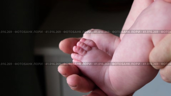 Father holding Baby Feet in Hands. Legs Newborn in male parents Hand. Small children's Feet in the Father's Palm. Close-up. Little Toes of Child and Man Hands of Happy Parent. Father's Day Holiday. Стоковое видео, видеограф Марина Демидюк / Фотобанк Лори