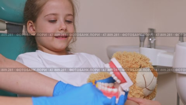 Female dentist teaches a little girl how to brush her teeth properly with jaw model and toothbrush. The concept of oral care. concept of dentistry. children's dentist. plasma structure of the jaw. Стоковое видео, видеограф Ирина Михайличенко / Фотобанк Лори