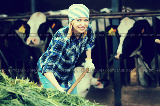 Female farmer collecting grass for cows. Стоковое фото, фотограф Яков Филимонов / Фотобанк Лори