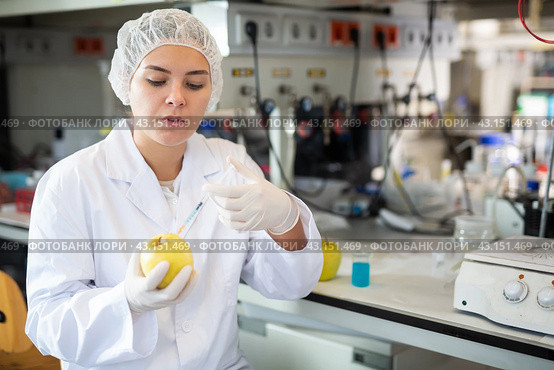 Female geneticist working in laboratory, injecting additives into apple during experiments with genetically modified apple. Стоковое фото, фотограф Яков Филимонов / Фотобанк Лори