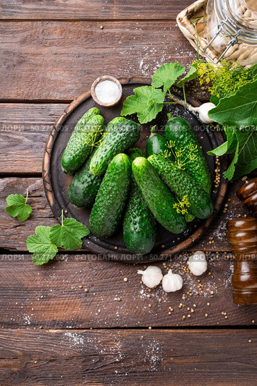 Fermenting cucumbers, cooking recipe salted or marinated pickles with garlic and dil. Fermenting cucumbers, cooking recipe salted or marinated pickles with garlic and dill. Стоковое фото, агентство Ingram Publishing / Фотобанк Лори