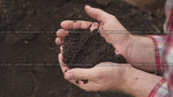 Fertile soil in male hands. Farmer hold rich land in field. Handful black soil. Natural ecological farming. Agricultural business. Humus, fertilized land. Bio agriculture and eco friendly cultivation. Стоковое видео, видеограф Марина Демидюк / Фотобанк Лори