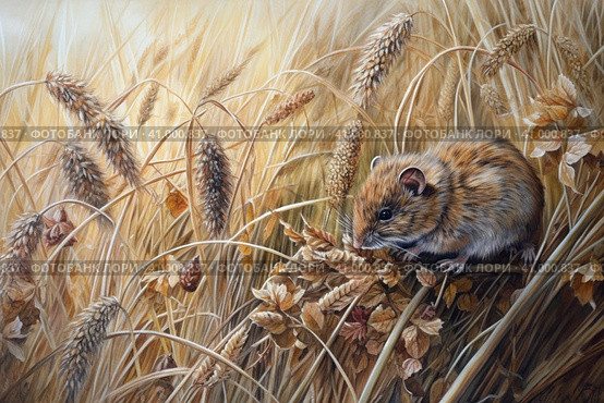 Field mouse among the grass, watercolor style, Generative AI. Стоковое AI-изображение, AI-художник Анна Кривицкая / Фотобанк Лори