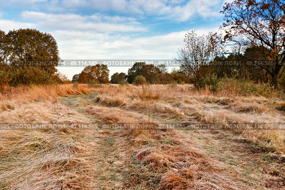 First autumn frosts. Road in the meadow in Belarus. Стоковое фото, агентство Ingram Publishing / Фотобанк Лори