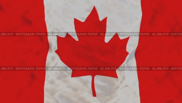 Флаг Канады анимированный (Canada flag animated) Стоковая анимация, аниматор Александр Гусев / Фотобанк Лори