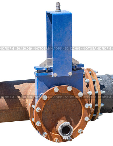 Фланец и труба на белом фоне. Flanges,pipe connection with flange. Стоковое фото, фотограф Татьяна Д / Фотобанк Лори