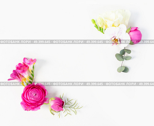 Flowers composition. Frame corners of eucaliptus leaves and ranunculus flowers on white background. Flat lay, top view, copy space. Flowers flat lay composition. Стоковое фото, агентство Ingram Publishing / Фотобанк Лори