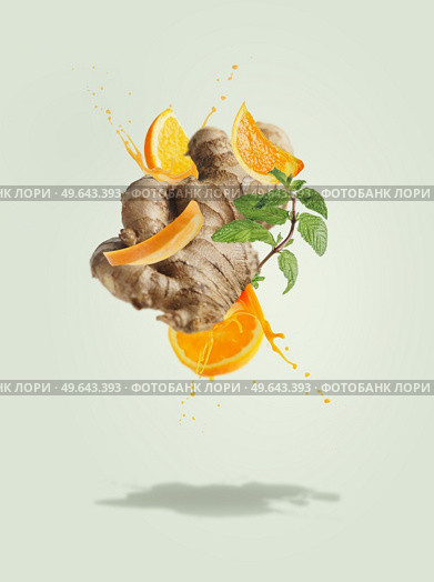 Flying ginger with orange slices and juice splashing at pale green background mint leaves. Ingredients for refreshing summer drinks. Creative levitation food and drink concept. Front view. Стоковое фото, агентство Ingram Publishing / Фотобанк Лори