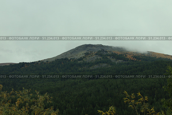 Foggy Mountain Landscape Surrounded by Lush Forest. Стоковое фото, фотограф Igor Bastrakov / Фотобанк Лори