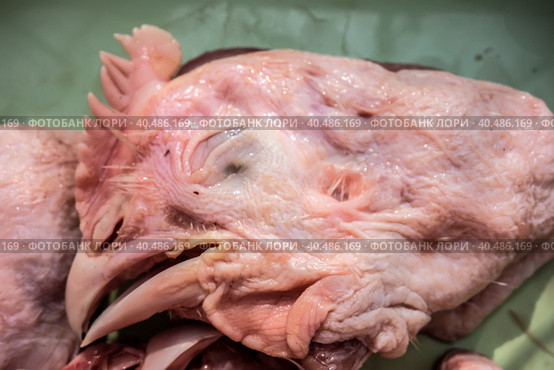 Food background of raw chicken heads. Cat food. Стоковое фото, фотограф Iva Noel / Фотобанк Лори