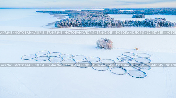 Форелевые садки на зимнем озере. Вид сверху. Карелия. Стоковое фото, фотограф Сергей Цепек / Фотобанк Лори