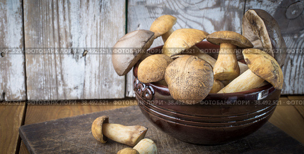 Forest mushrooms in a dark bowl on a wooden background. Copy space. Leccinum scabrum. Xerocomus. Стоковое фото, фотограф Мария Кошелева / Фотобанк Лори