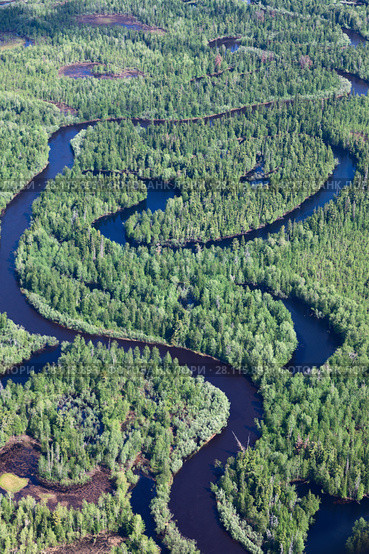 Forest plain with river. Стоковое фото, фотограф Владимир Мельников / Фотобанк Лори