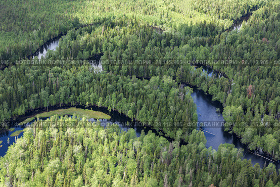 Forest plain with river. Стоковое фото, фотограф Владимир Мельников / Фотобанк Лори