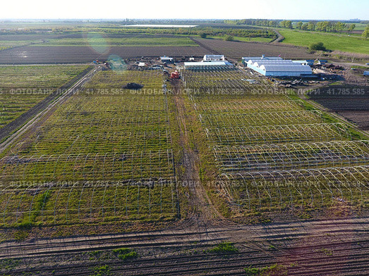 Frameworks of greenhouses, top view. Construction of greenhouses in the field. Agriculture, agrotechnics of closed ground. Стоковое фото, фотограф Леонид Еремейчук / Фотобанк Лори