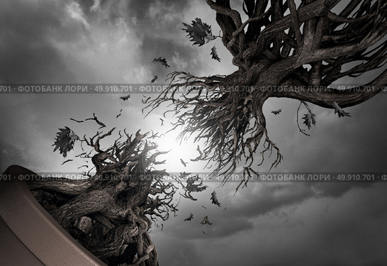 Freedom symbol and liberty concept as a tree separating from the root as a metaphor for ambition or aspiration with 3D illustration elements. Стоковое фото, агентство Ingram Publishing / Фотобанк Лори