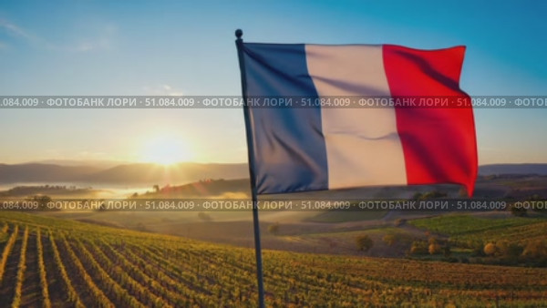 French flag waving in a vineyard at sunrise. The landscape features rolling hills and a misty atmosphere, symbolizing Bastille Day celebrations. Стоковое AI-видео, аниматор Nart / Фотобанк Лори