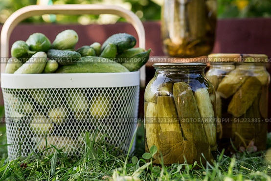Fresh cucumbers in a basket and crispy pickled cucumbers in a transparent glass jar. Pickled cucumbers with dill and garlic. Delicious canned vegetables. Cucumbers for the winter. Стоковое фото, фотограф Photojuli / Фотобанк Лори