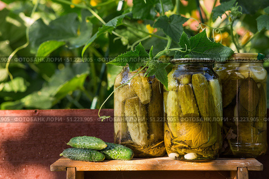 Fresh cucumbers in a basket and crispy pickled cucumbers in a transparent glass jar. Pickled cucumbers with dill and garlic. Delicious canned vegetables. Cucumbers for the winter. Стоковое фото, фотограф Photojuli / Фотобанк Лори