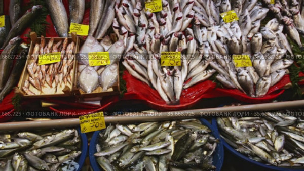 Fresh fish at a seafood market in Istanbul. On the price tags names of fish in turkish. Стоковое видео, видеограф Яков Филимонов / Фотобанк Лори