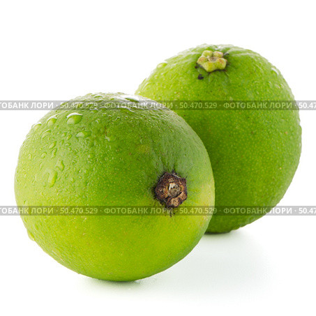 Fresh green limes isolated on white background. Стоковое фото, агентство Ingram Publishing / Фотобанк Лори