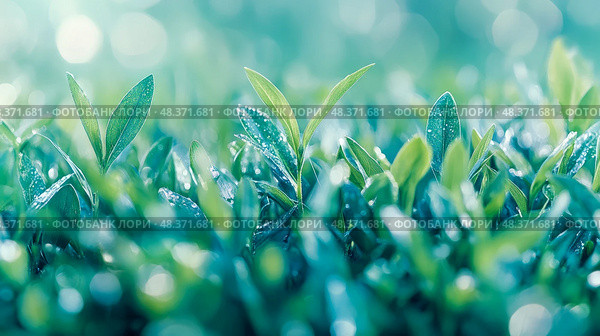 Fresh Growth: A close-up on vibrant green sprouts kissed by morning dew, symbolic of new beginnings and the vitality of nature. Стоковое AI-изображение, AI-художник Данила Большаков / Фотобанк Лори