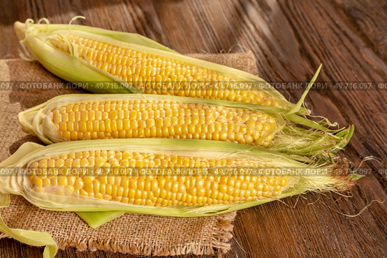 Fresh ripe corncobs on a brown wooden background. Rural still life with sweet corn. Стоковое фото, агентство Ingram Publishing / Фотобанк Лори