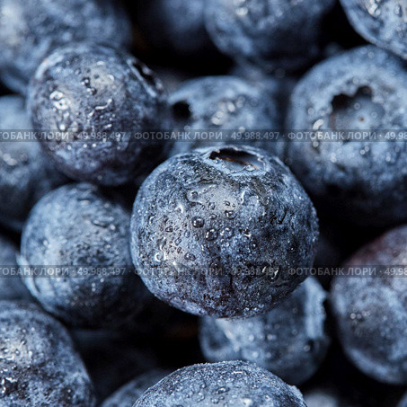 Fresh ripe sweet blueberries in the water droplets with soft focus. Blueberries summer macro background. Top view.. Summer blueberries background from natural organic freshly picked berries. Macro of sweet fresh blueberries. Стоковое фото, агентство Ingram Publishing / Фотобанк Лори
