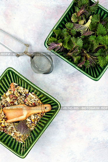 Fresh young nettle for making medicinal tea. Herbal medicine, homeopathy. Top view. Copy space.. Preparation of healing of nettle tea. Стоковое фото, агентство Ingram Publishing / Фотобанк Лори