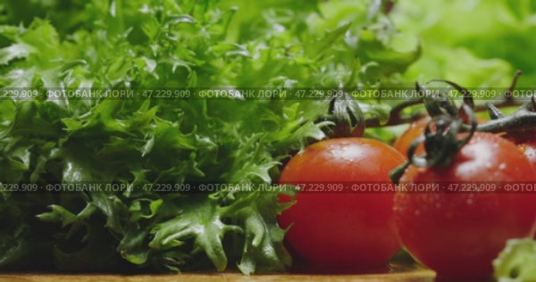Freshly picked Tomatoes and Crisp, vibrant Lettuce arranged beautifully on Wooden Surface. Стоковое видео, видеограф Владимир Ковальчук / Фотобанк Лори