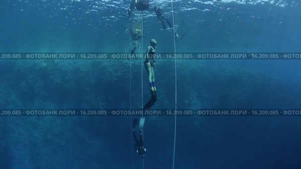 Фридайверы в открытом море. Стоковое видео, видеограф Михаил Дударев / Фотобанк Лори