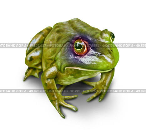 Frog with a black eye as a concept of environmental damage to nature and the destruction to the environment as a symbol of awareness to the importance of conservation as a hurt amphibian on a white background. Стоковое фото, агентство Ingram Publishing / Фотобанк Лори
