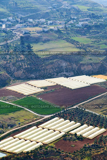 from high coultivation of vegetable in the greenhouse in jordan. Стоковое фото, агентство Ingram Publishing / Фотобанк Лори