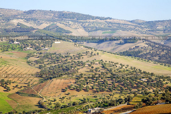 from high in the village morocco africa field and constructions. Стоковое фото, агентство Ingram Publishing / Фотобанк Лори