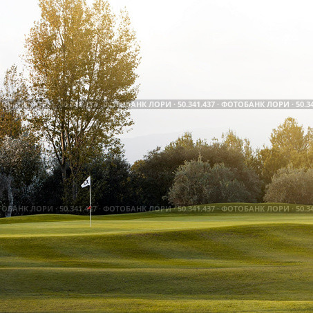 front view golf field with grass flag. Стоковое фото, агентство Ingram Publishing / Фотобанк Лори