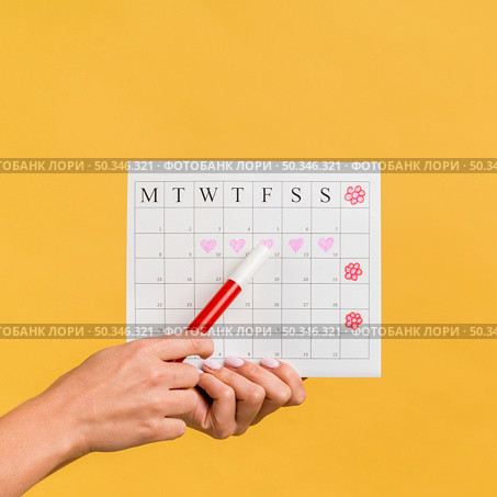 front view menstruation calendar with hearts flowers. Стоковое фото, агентство Ingram Publishing / Фотобанк Лори