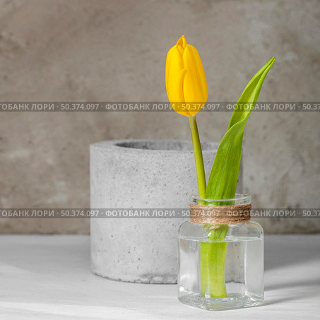 front view yellow tulip vase. Стоковое фото, агентство Ingram Publishing / Фотобанк Лори