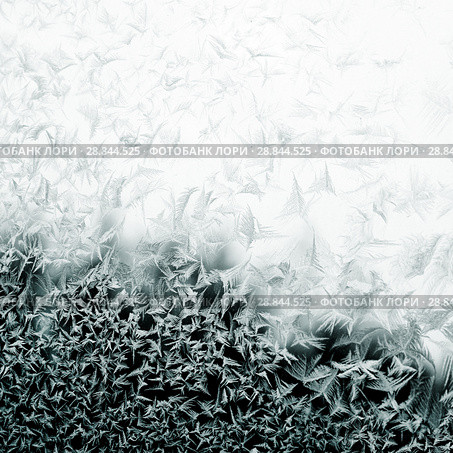 Frosty pattern on winter window. Стоковое фото, фотограф ElenArt / Фотобанк Лори