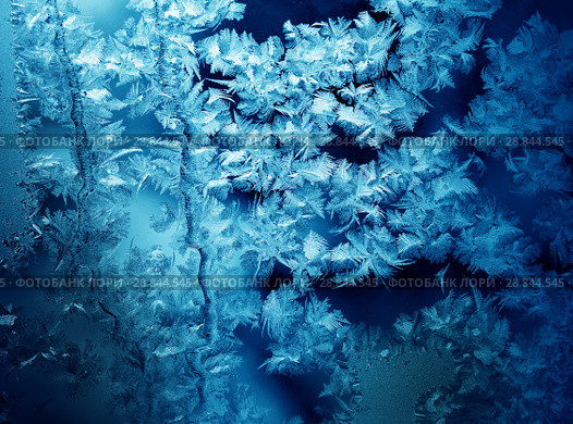 Frosty pattern on winter window. Стоковое фото, фотограф ElenArt / Фотобанк Лори