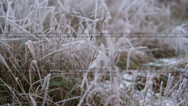 Frozen grass. Winter background, morning frost on the grass with copy space. Cold season, springtime. Mowed lawn covered with ice and hoarfrost. Green grass freezes with pieces of snow on the field. Стоковое видео, видеограф Марина Демидюк / Фотобанк Лори