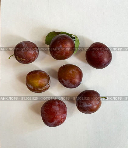 Фрукты. Семь слив на белом фоне. Seven plums on a white background. Стоковое фото, фотограф Александр Рыбалка / Фотобанк Лори