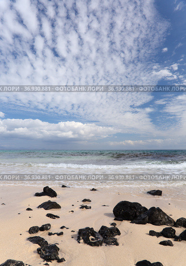 Fuerteventura, Canary Islands, beaches collectively called Grandes Playas on the edge of Nature Park Dunes of Corralejo (2021 год). Стоковое фото, фотограф Tamara Kulikova / Фотобанк Лори