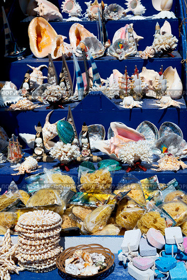 full in market old table shell and sealife in sale. Стоковое фото, агентство Ingram Publishing / Фотобанк Лори