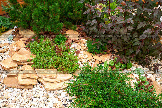 Garden Design. Flowerbed in the yard in landscape design. Стоковое фото, фотограф Евгений Глазунов / Фотобанк Лори