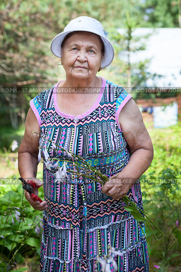 Gardening woman cutting her flowers in garden, old lady works with averruncator. Стоковое фото, фотограф Кекяляйнен Андрей / Фотобанк Лори