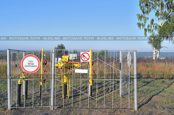 Газорегуляторный пункт (ГРП) и береза в чистом поле (2022 год). Редакционное фото, фотограф Владимир Литвинов / Фотобанк Лори