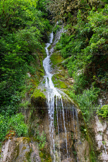Gegsky waterfall in the forest. Abkhazia. Стоковое фото, фотограф Евгений Ткачёв / Фотобанк Лори