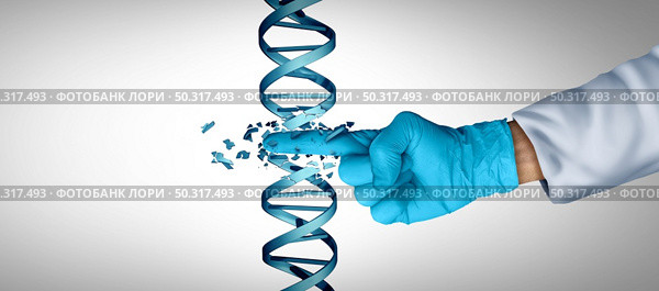 Gene engineering and DNA or genetic therapy as a CRISPR biotechnology concept with a double helix strand as a symbol for genome or chromosome treatment as a science doctor or researcher with 3D illustration elements. Стоковое фото, агентство Ingram Publishing / Фотобанк Лори