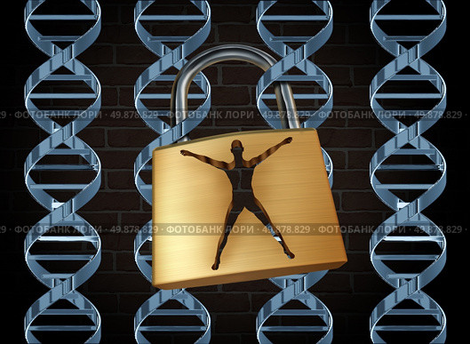 Genetic prison and human engineering of DNA as the biotechnology science concept for unlocking the secrects of the human genome to free humans of disease and inherited illness through scientific research with dna strands as jail bars and a lock shaped as a person. Стоковое фото, агентство Ingram Publishing / Фотобанк Лори