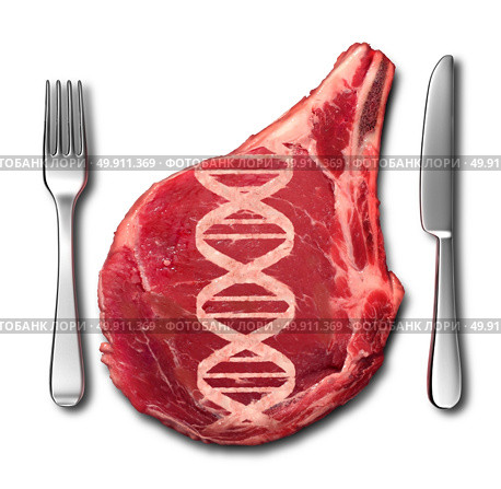 Genetically modified meat concept and GMO symbol as a steak with a DNA strand shaped in the flesh as a genetic engineering metaphor for food science with 3D illustration elements. Стоковое фото, агентство Ingram Publishing / Фотобанк Лори